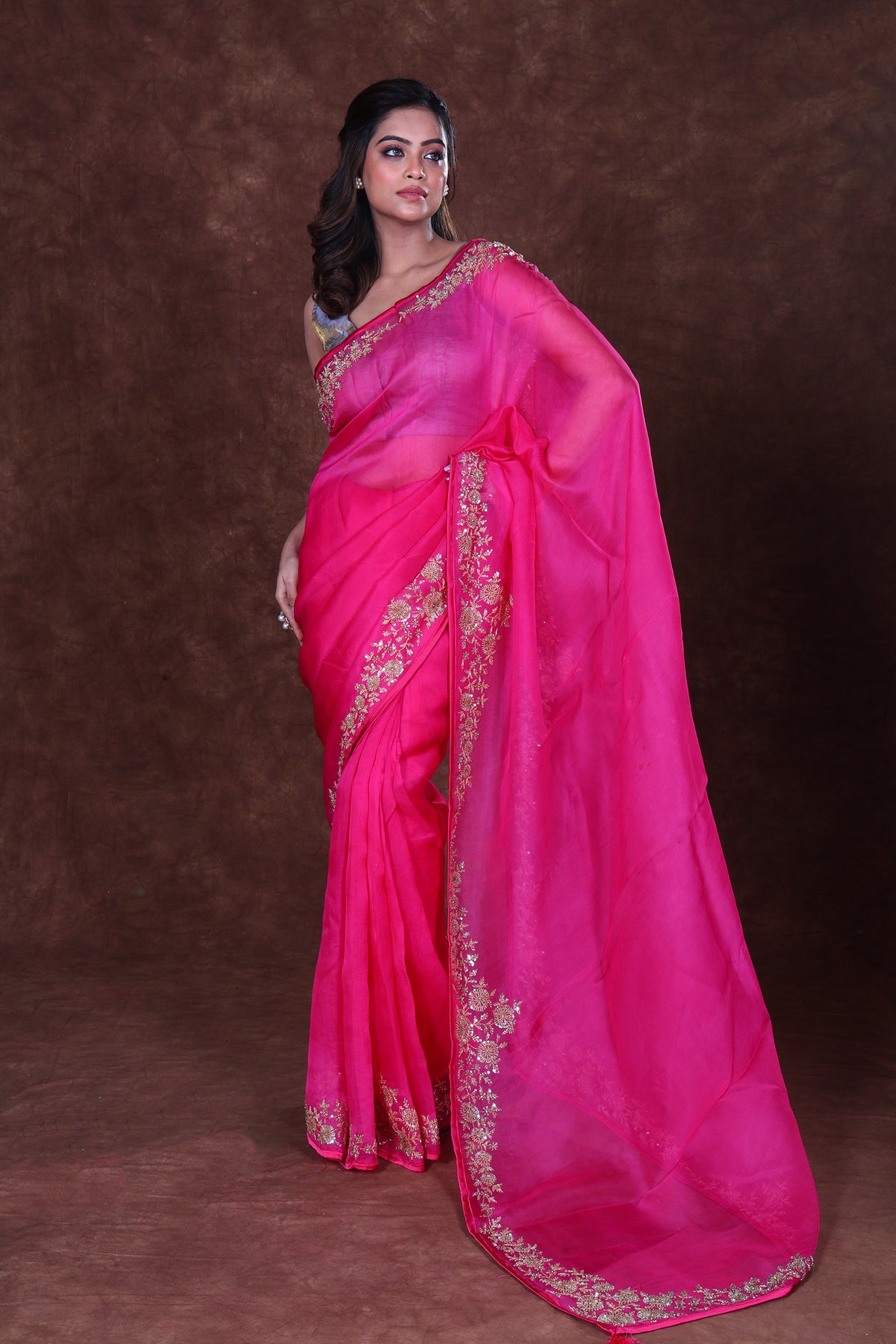 Pure Organza Zardosi Work