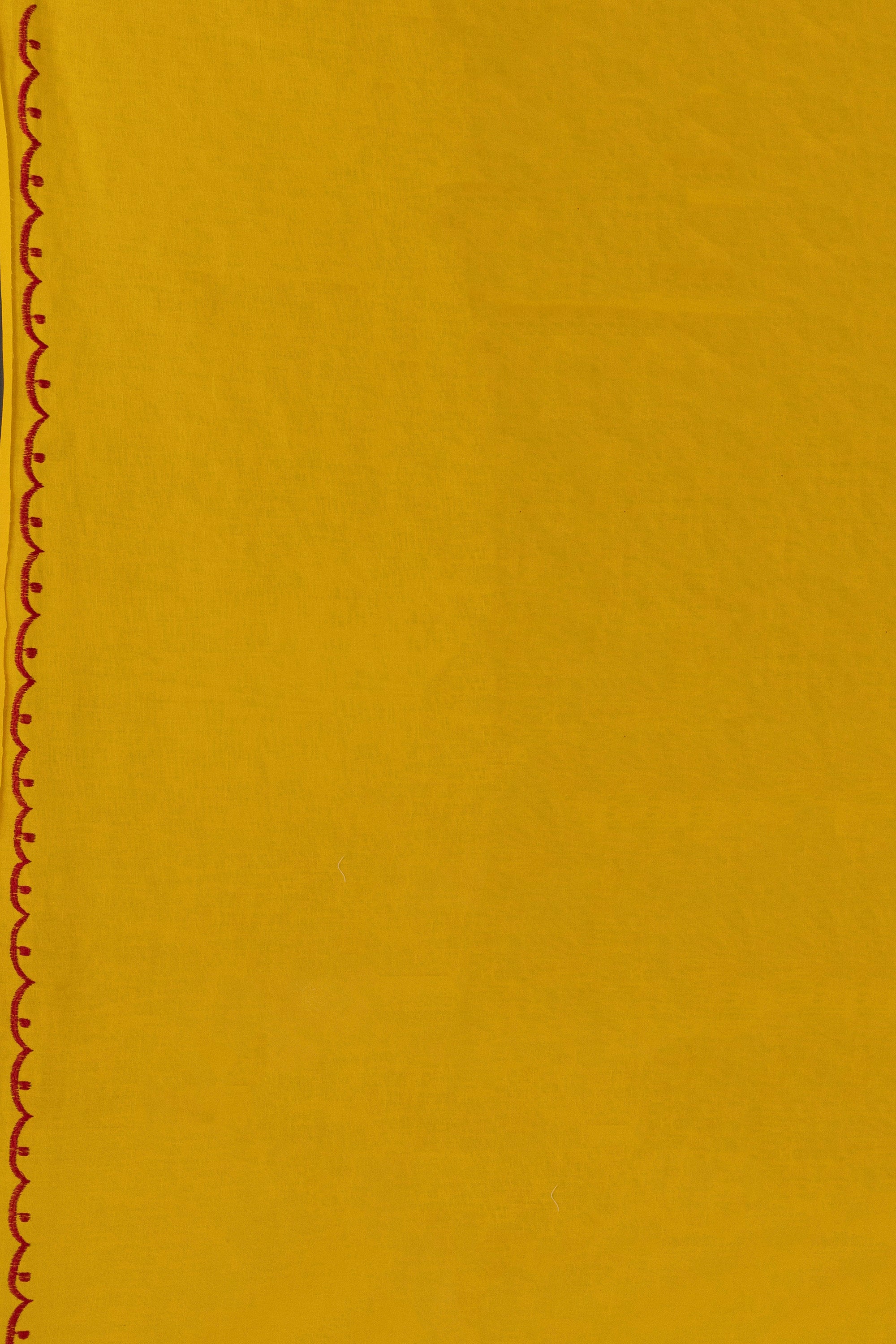 Resham Check Embroidery