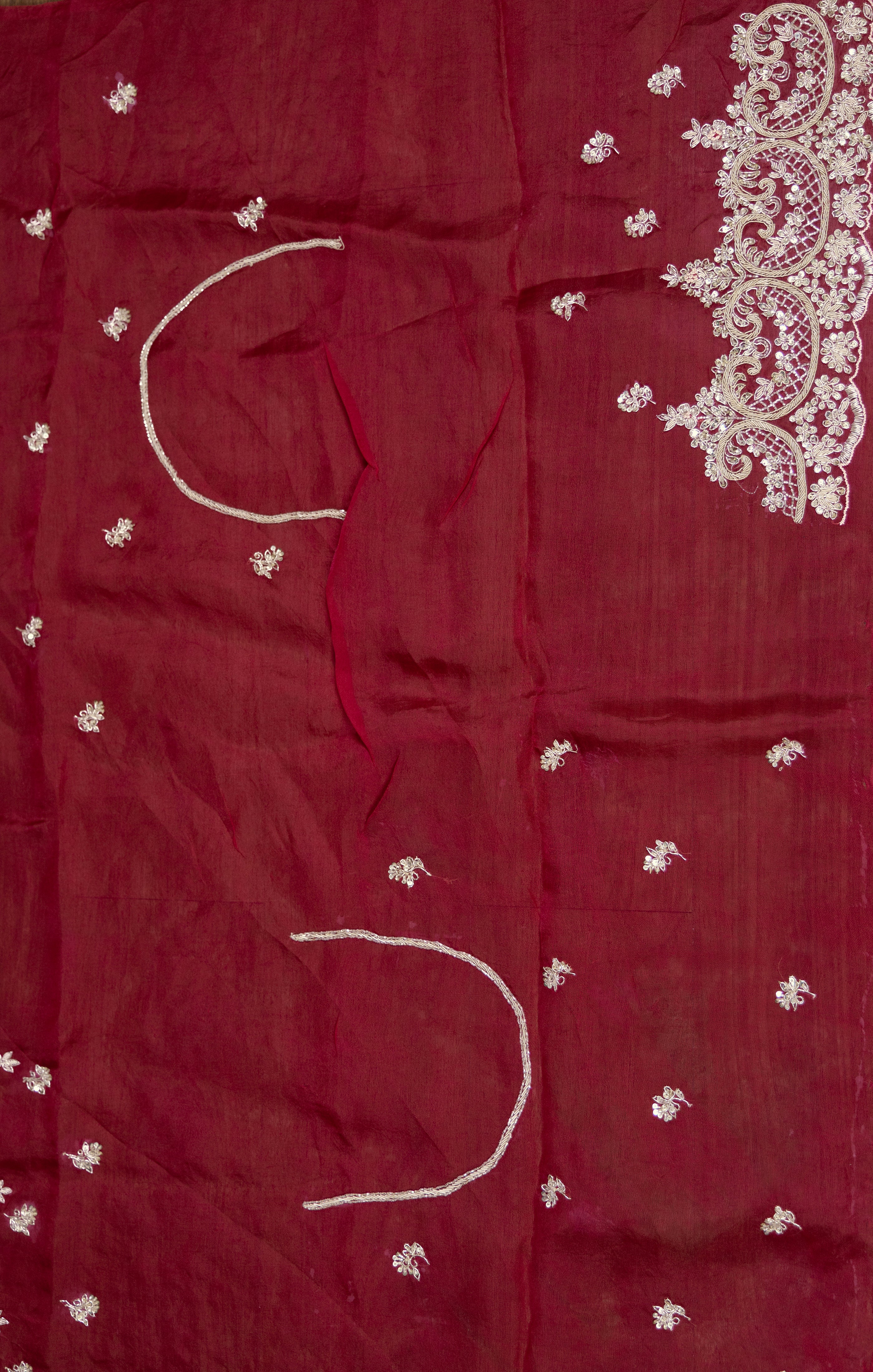 Exclusive Organza Zardosi Work