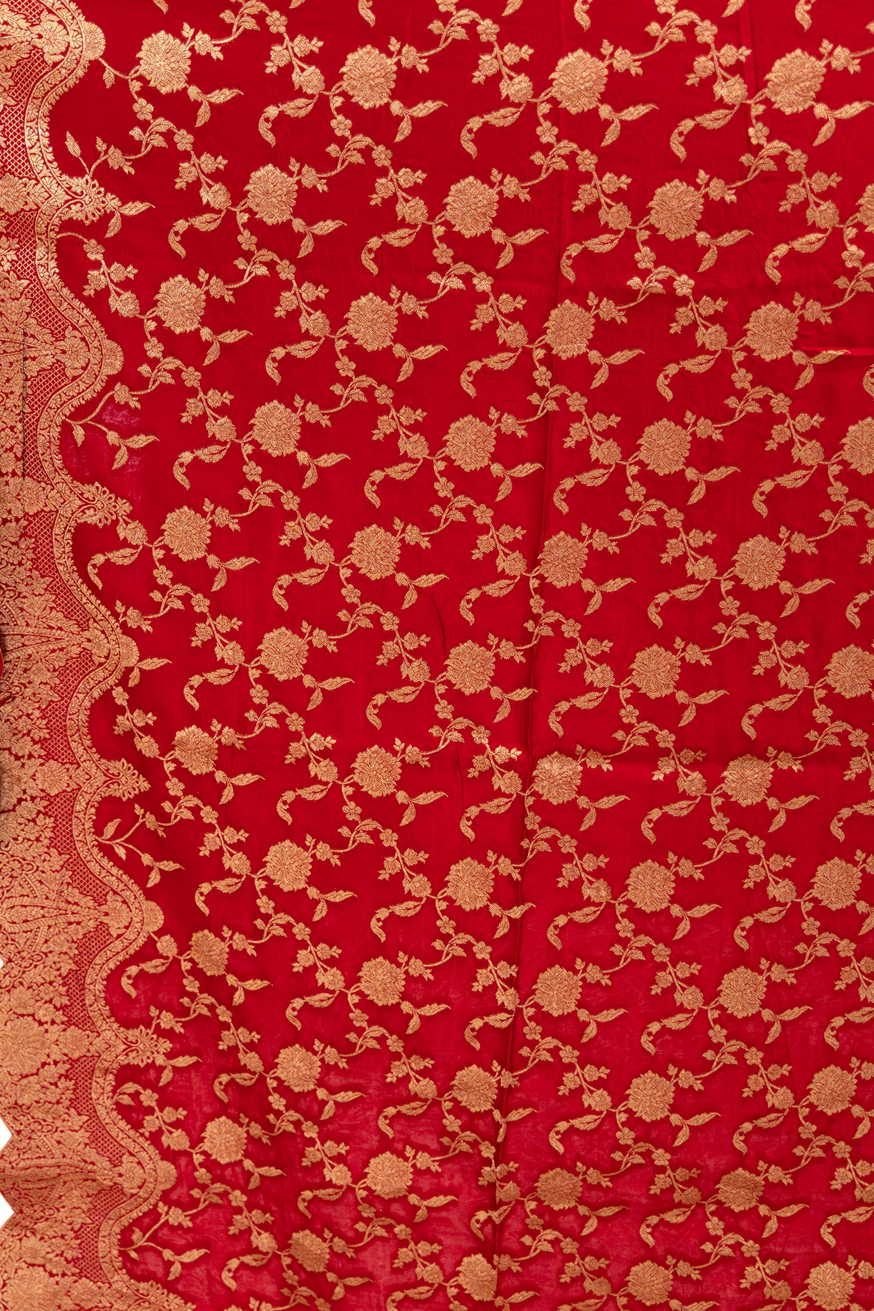 Semi Mashru With Scalp Border