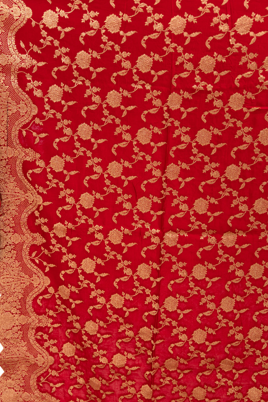 Semi Mashru With Scalp Border