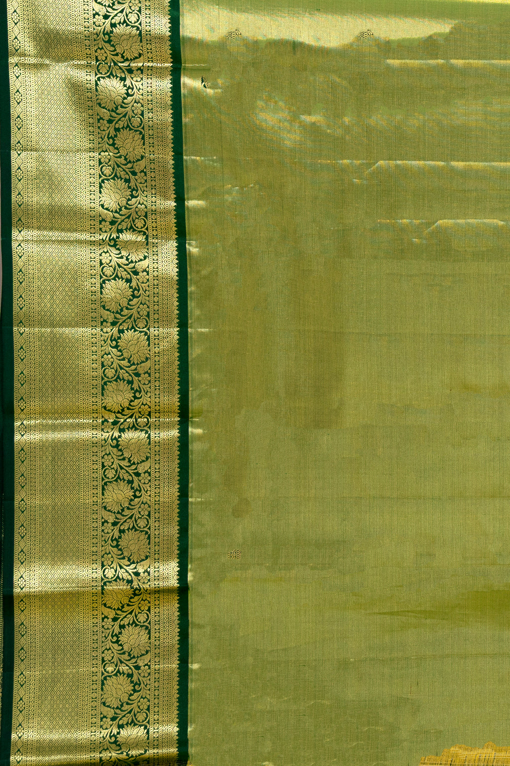 Tissue Kanjivaram