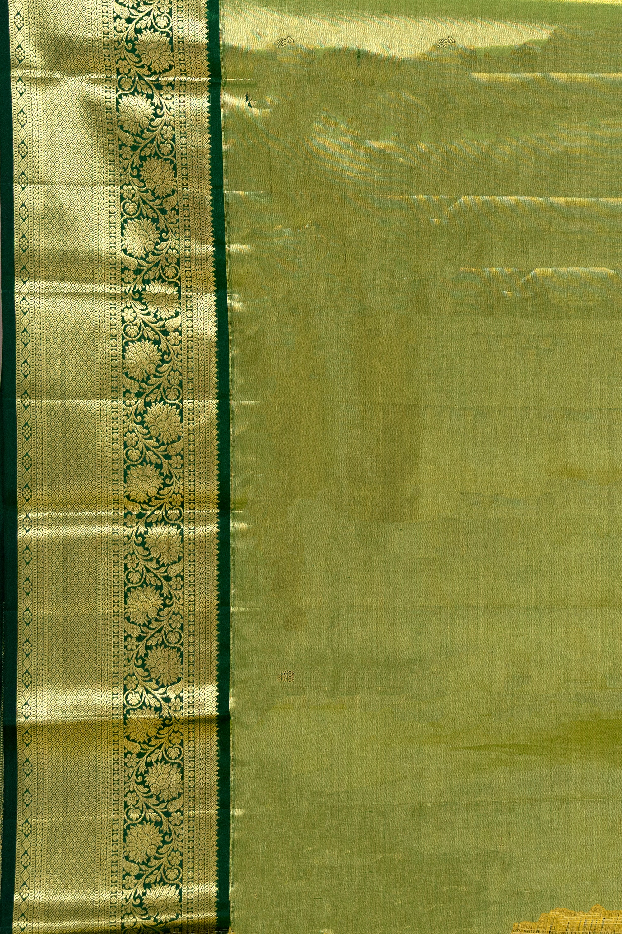 Tissue Kanjivaram