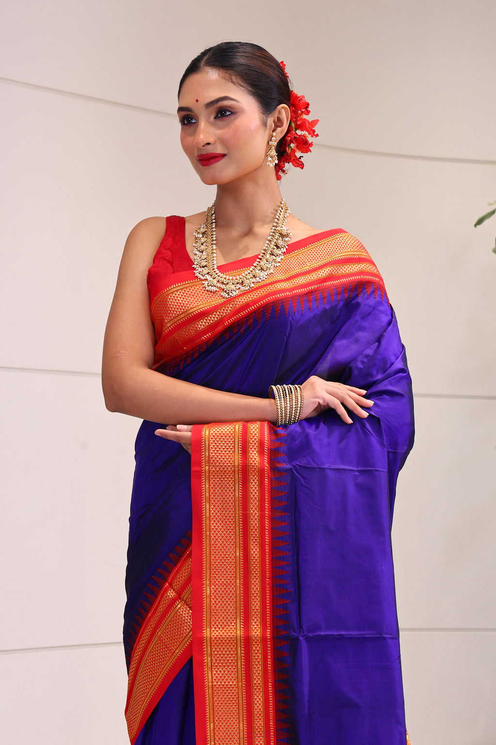 Ilkal Silk