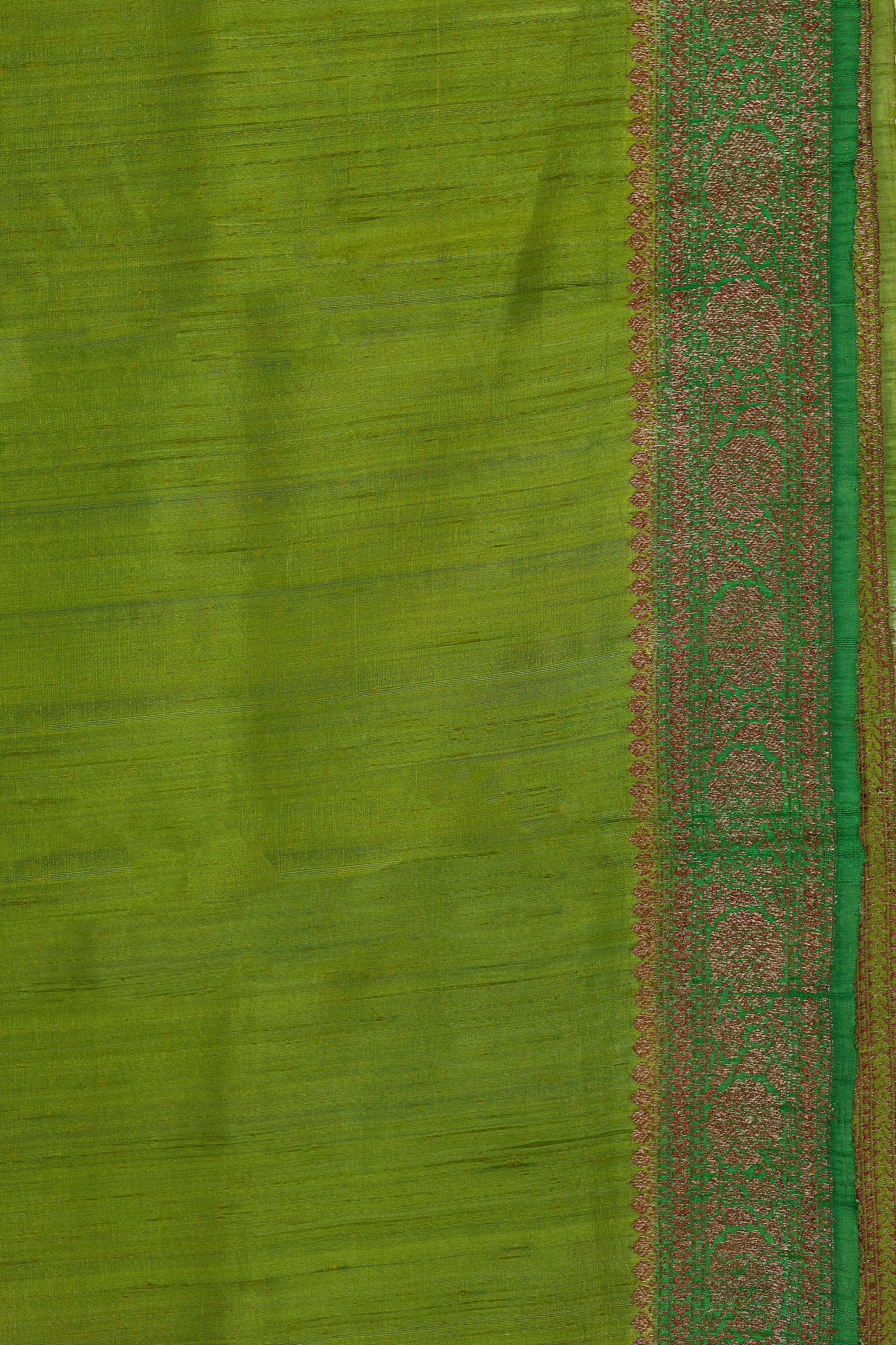 Rangkat Raw Silk Banarasi