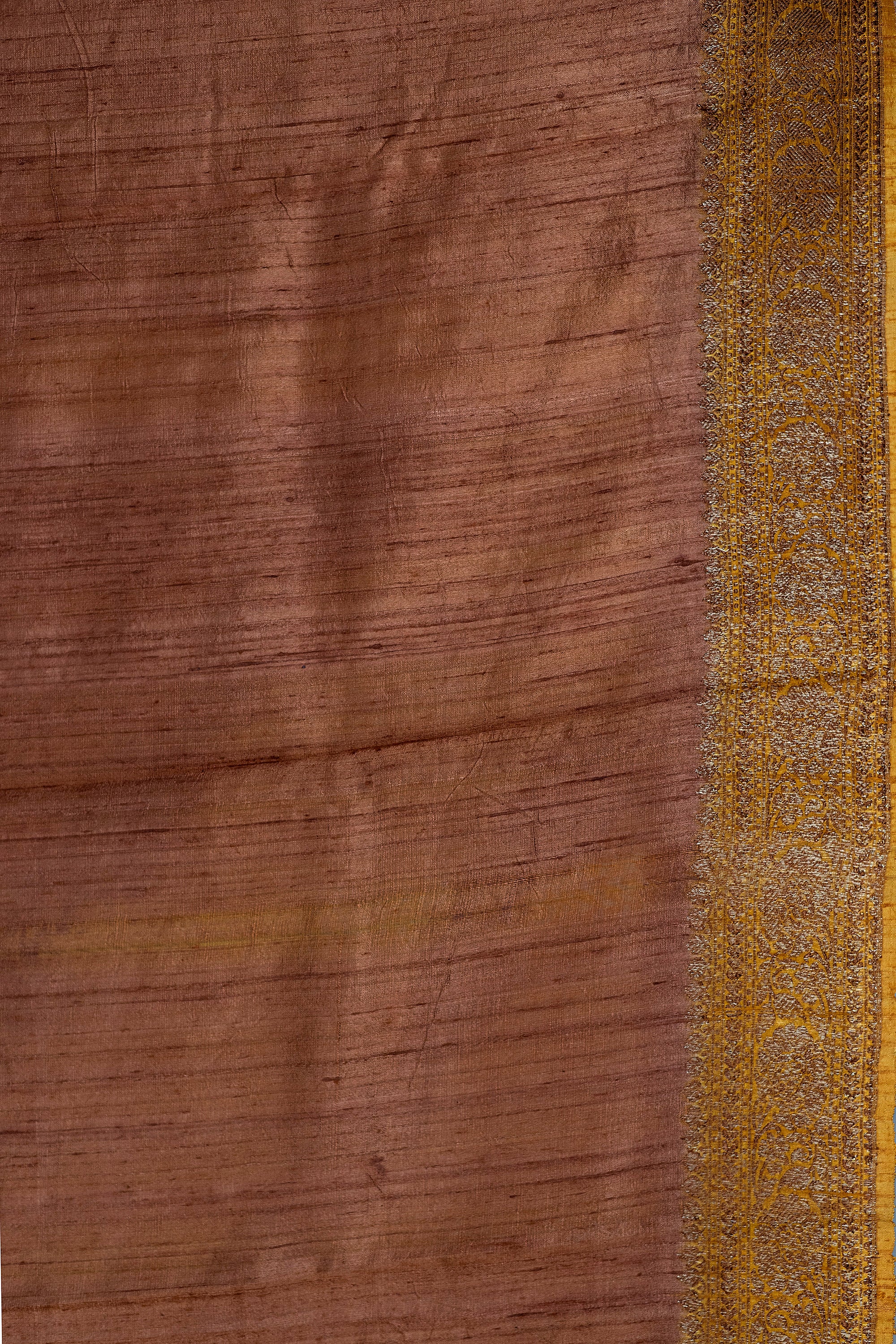 Rangkat Raw Silk Banarasi