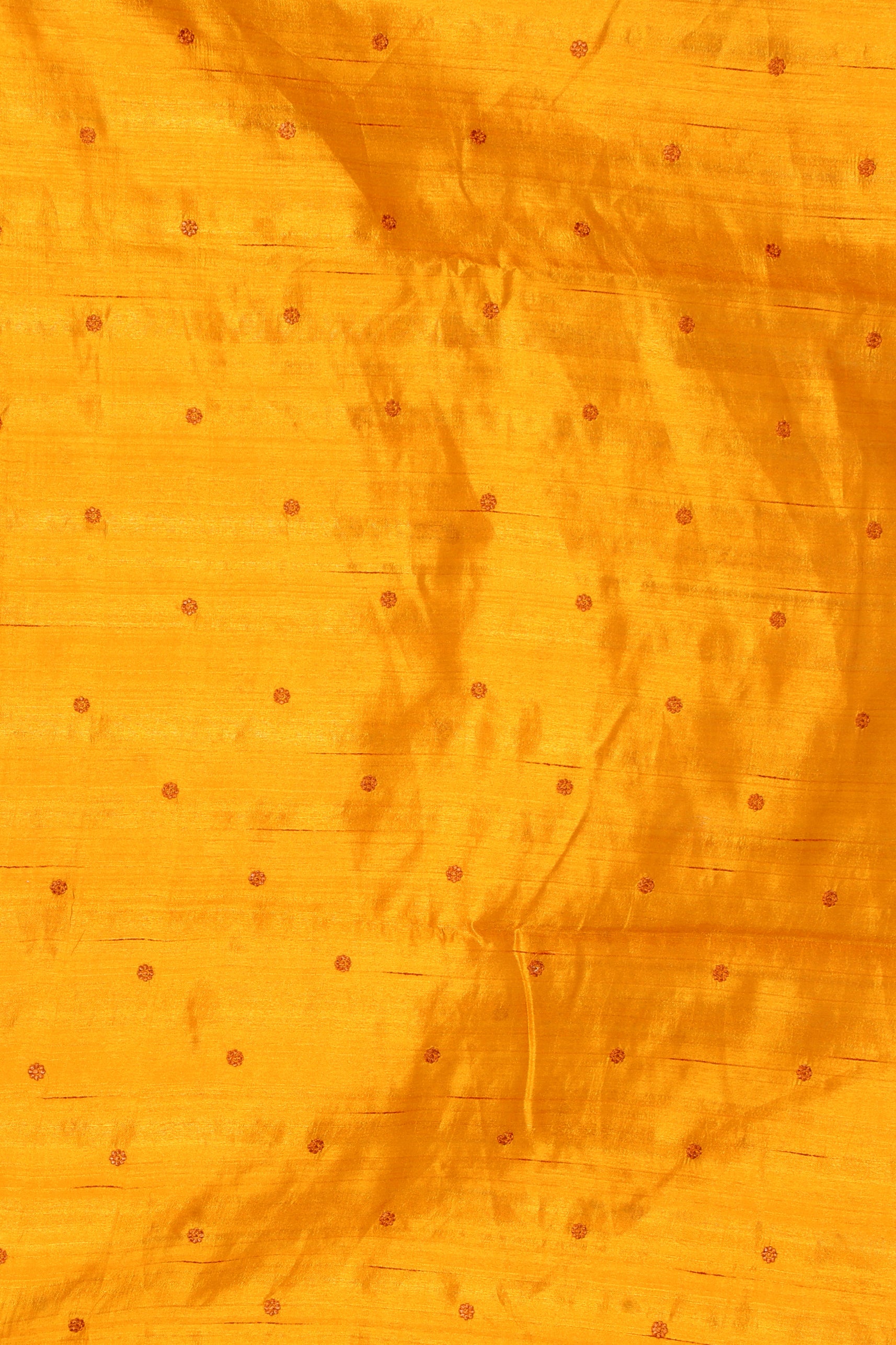 Semi Tussar Cutwork