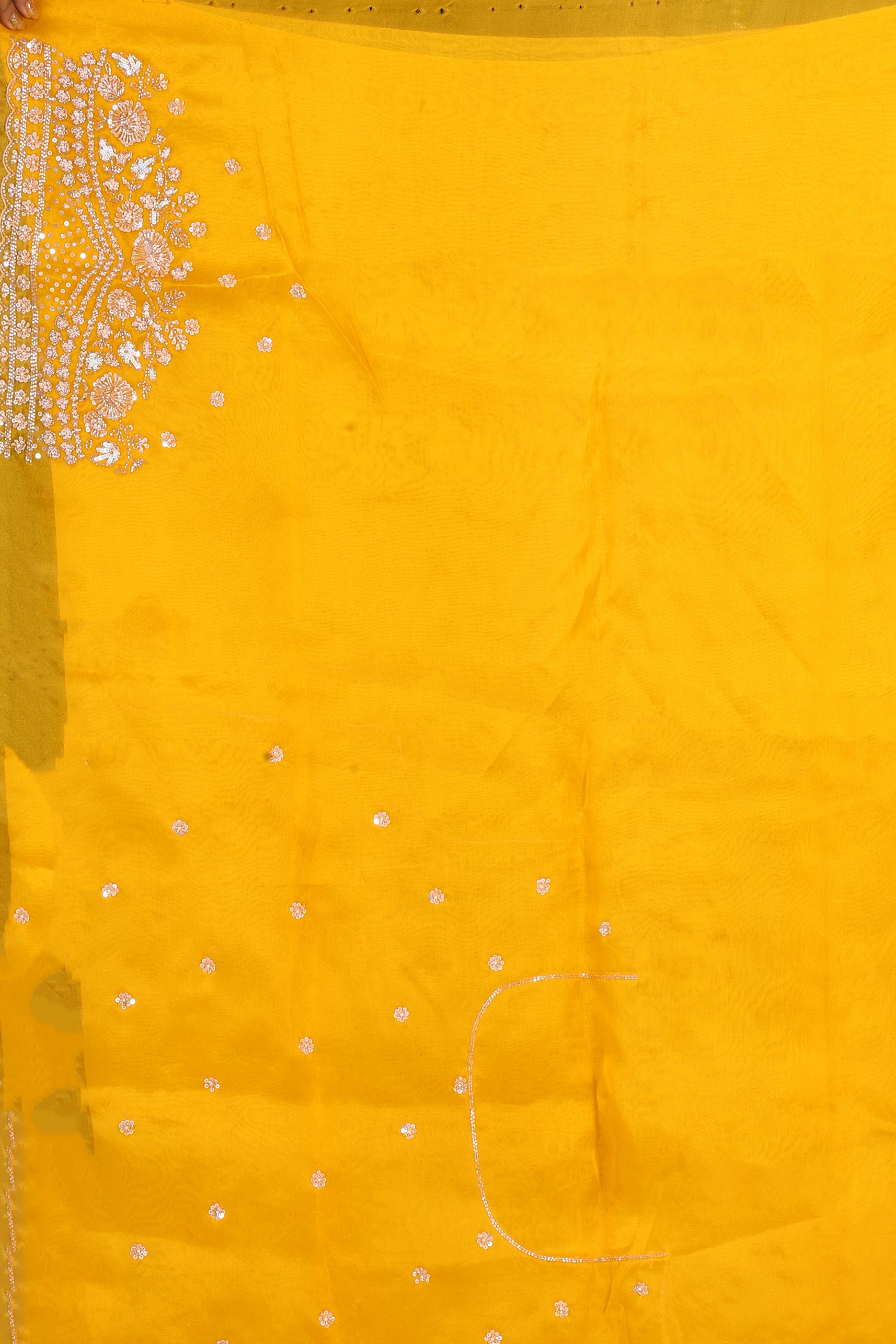 Pure Organza Zardosi Work