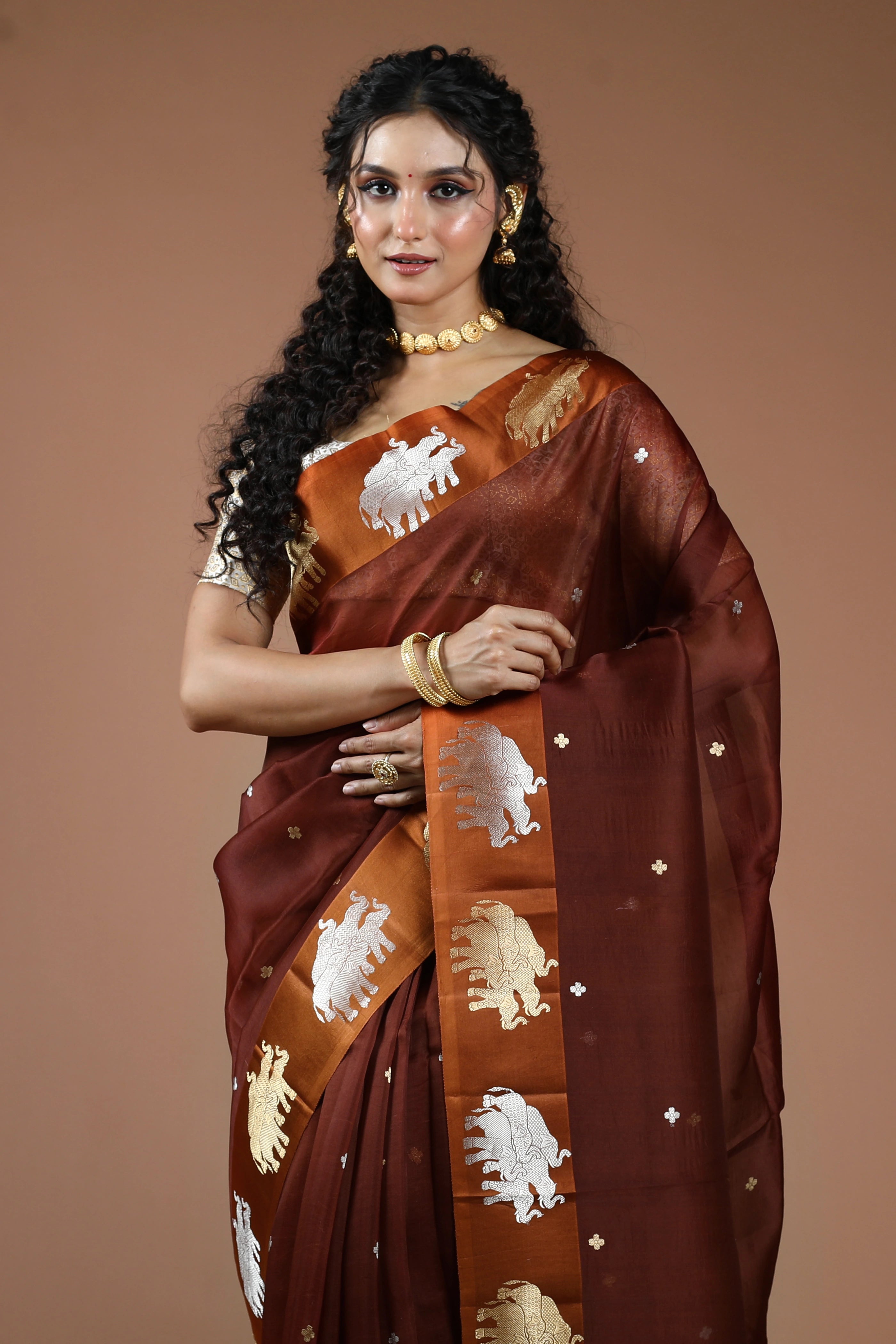 Chocolate Pure Kora Banarasi With Satin Border Saree With Blouse Piece
