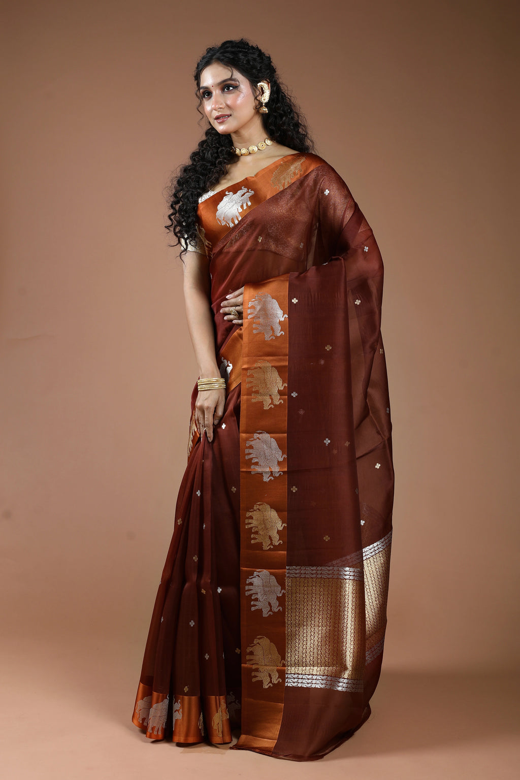 Chocolate Pure Kora Banarasi With Satin Border Saree With Blouse Piece