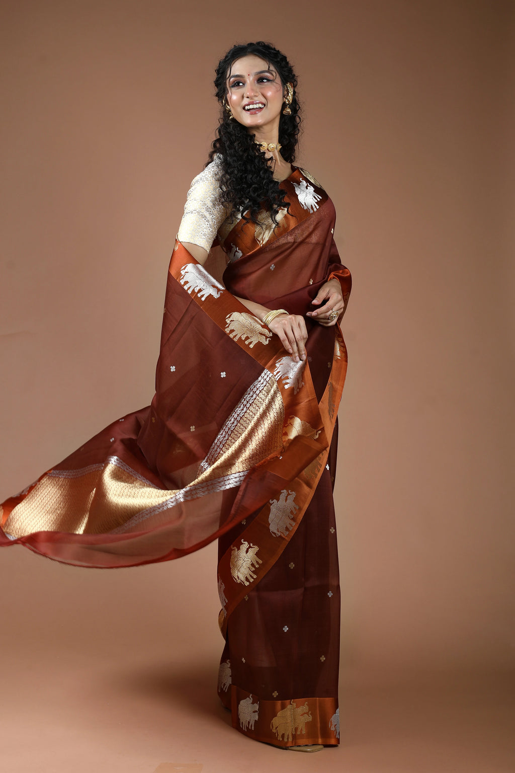 Chocolate Pure Kora Banarasi With Satin Border Saree With Blouse Piece